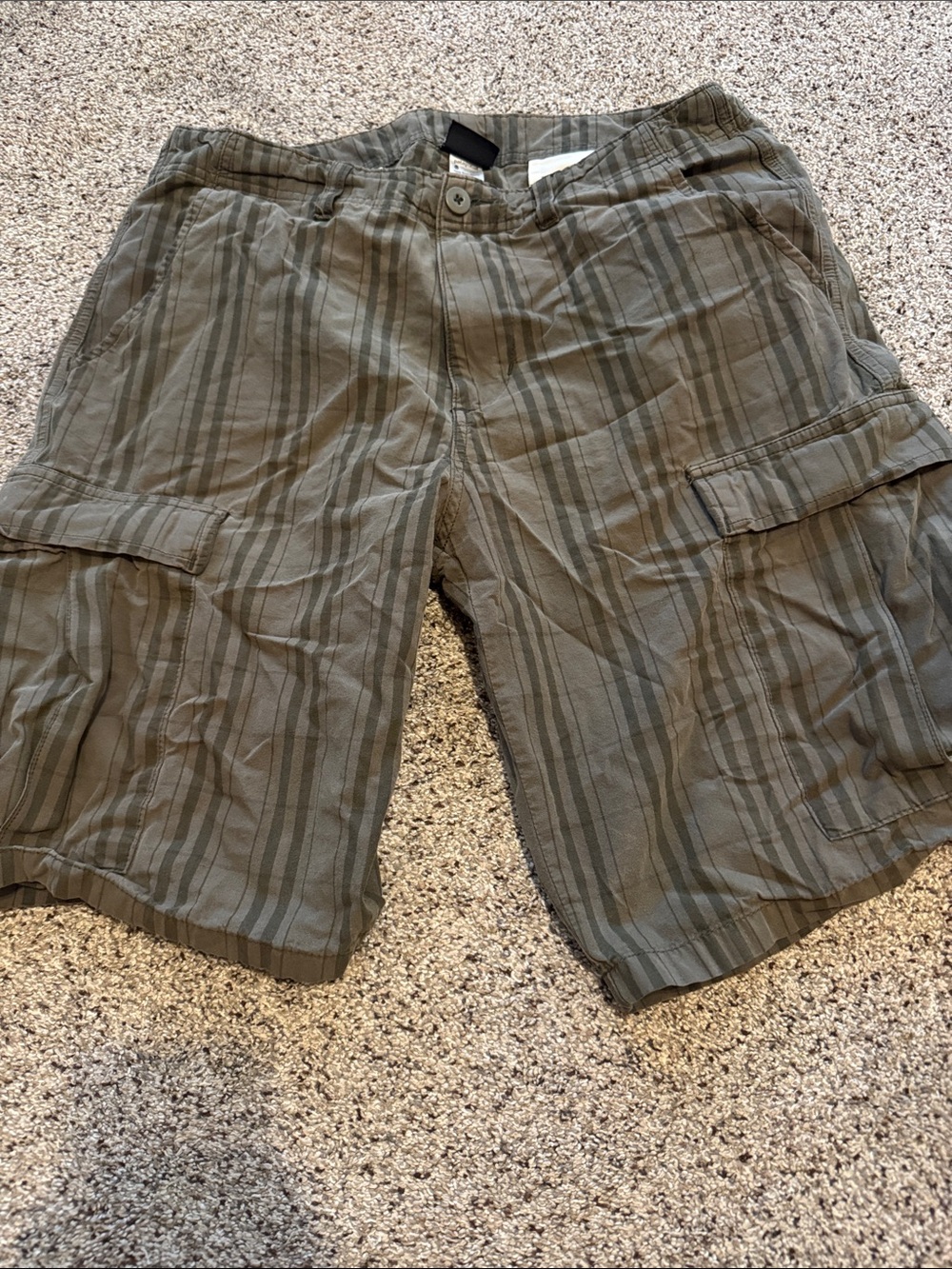 Patagonia Men’s Olive Striped Cargo Shorts size 34- 100% Organic Cotton